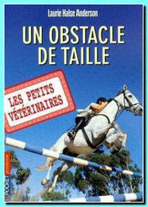 Image de Un obstacle de taille