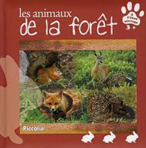 Image de Je découvre les animaux de la forêt