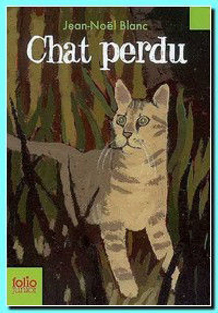 Image de Chat perdu