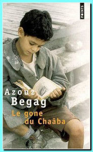 Image de Le gone du Chaâba