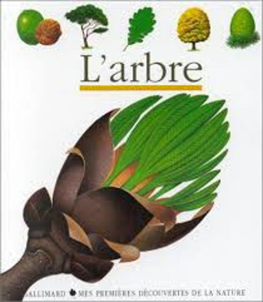 Image de L'arbre