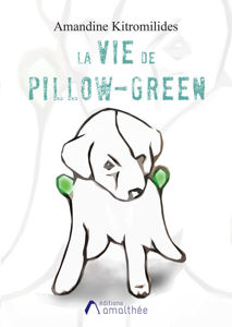 Picture of La vie de Pillow-Green