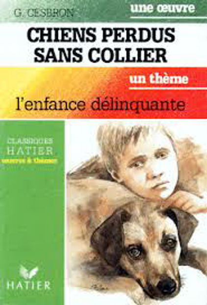 Image de Chiens perdus sans collier.L'enfance délinquante.