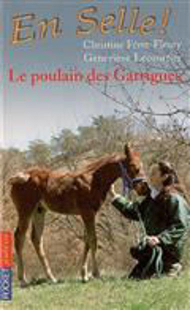 Image de Le poulain des Garrigues