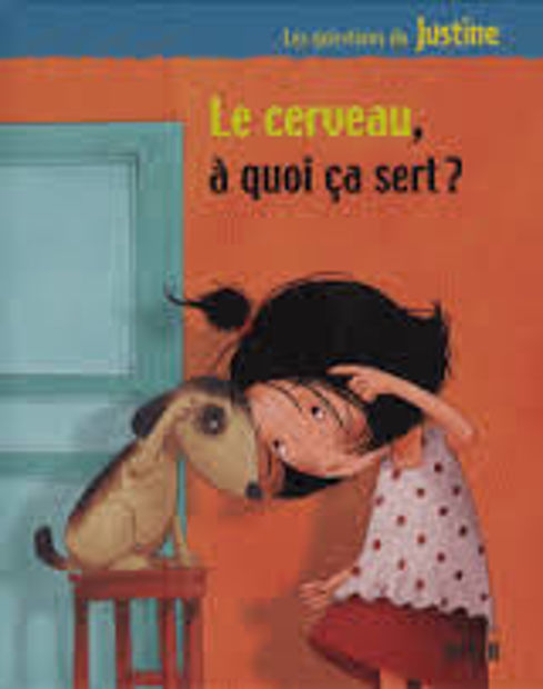 Image de Le Cerveau à quoi ça sert?