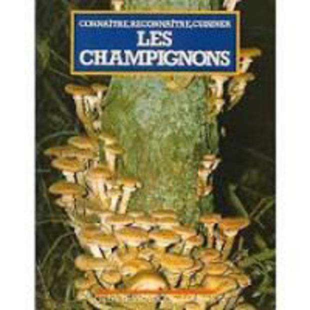 Image de Connaître, reconnaître, cuisiner les champignons