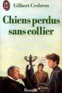 Image de Chiens perdus sans collier