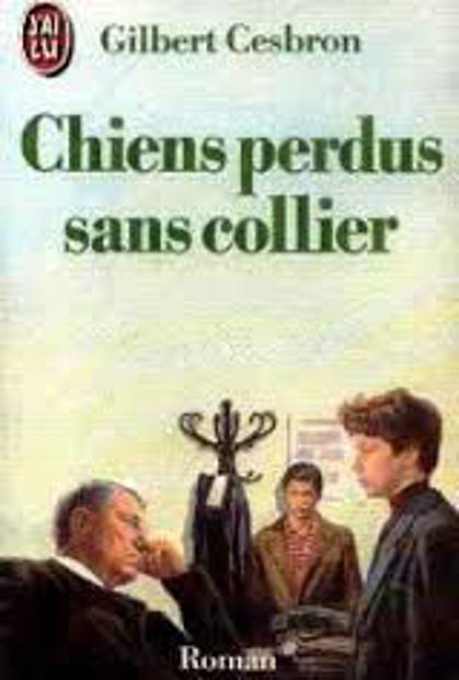 Image de Chiens perdus sans collier