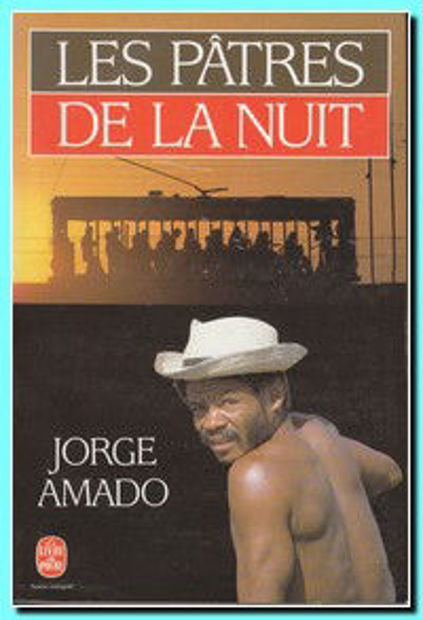 Image de Les Pâtres de la nuit