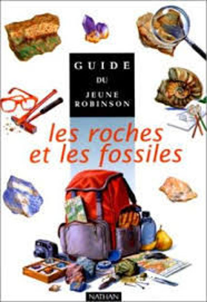 Image de Les Roches et les Fossiles