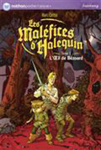 Image de Les Maléfices d'Halequin. Tome 1. L'oeil de Bézoard.