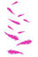Image de Plumes de paix