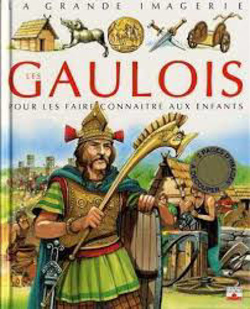 Image de Les Gaulois. Pour les faire connaître aux enfants.