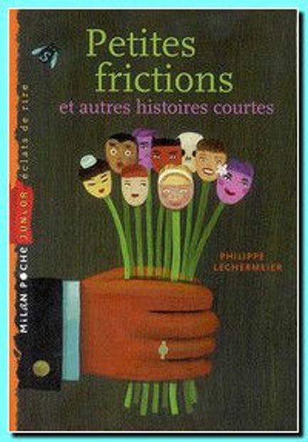 Image de Petites frictions et autres histoires courtes