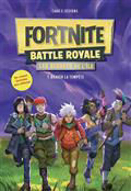 Image de Fortnite Battle Royale : les secrets de l'île Volume 1, Braver la tempête