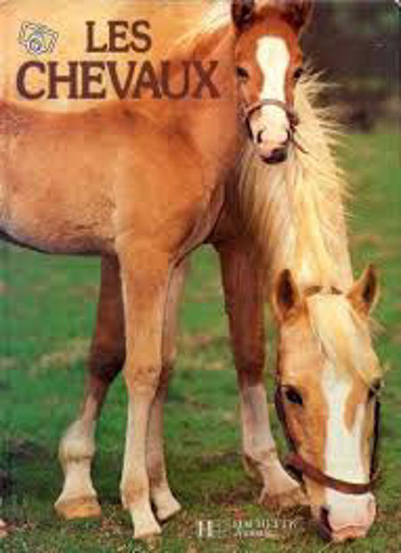 Image de Les chevaux