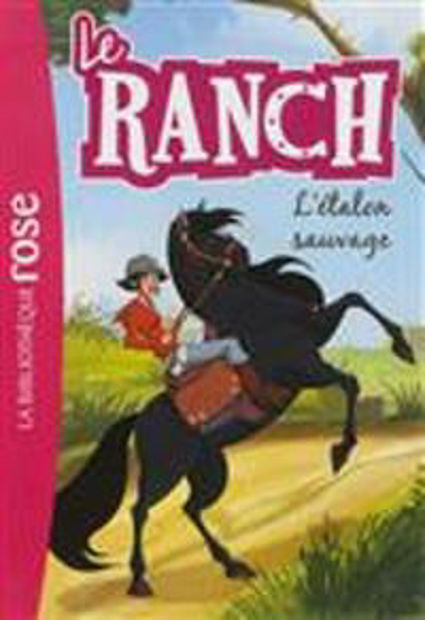 Image de Le ranch , volume 1 - L'étalon sauvage
