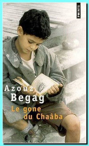 Image de Le gone du Chaâba