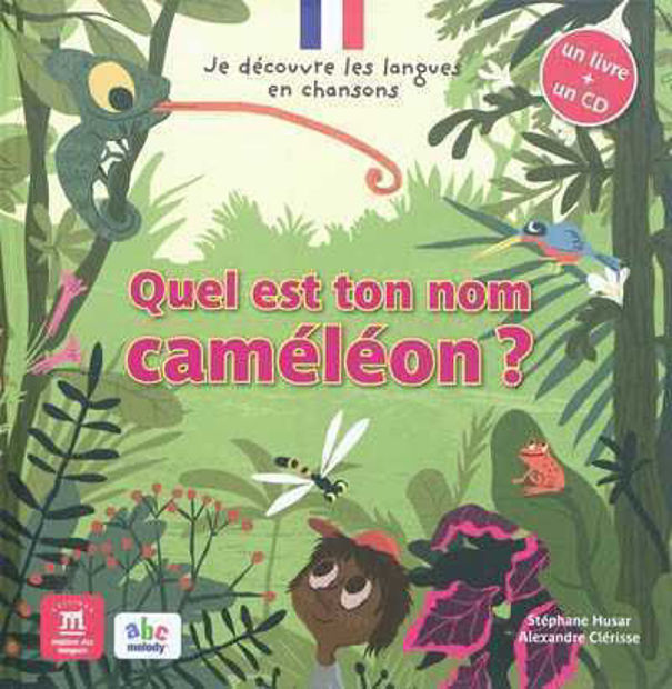 Image de Quel est ton nom caméléon? (livre & CD audio)