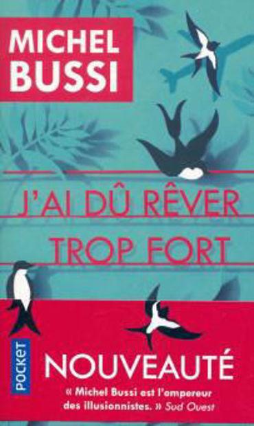Image de J'ai dû rêver trop fort