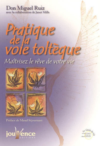 Image de Pratique de la Voie toltèque. Maîtrisez le rêve de votre vie