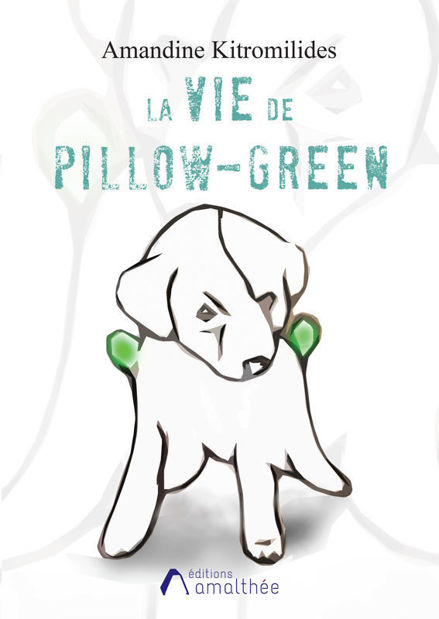 Image de La vie de Pillow-Green
