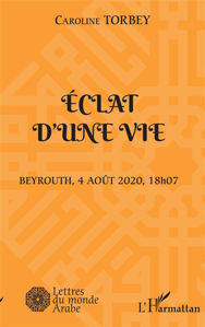 Picture of ECLAT D'UNE VIE Beyrouth, 4 août 2020, 18h07