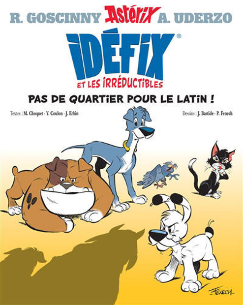 Image de Idéfix et les irréductibles Vol. 1, Pas de quartier pour le latin !