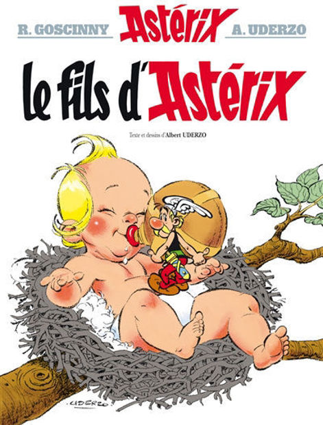 Image de Le Fils d'Astérix