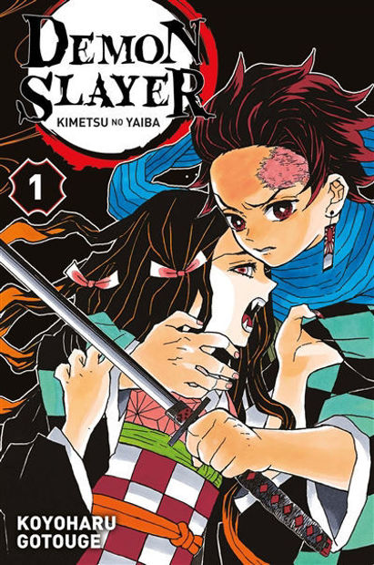 Image de Demon slayer : Kimetsu no yaiba Volume 01