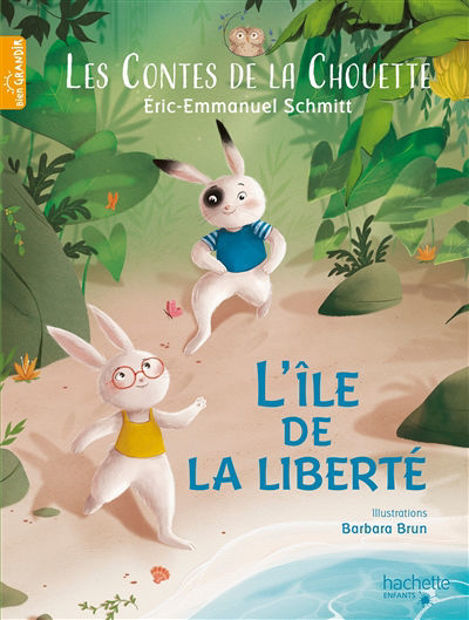 Image de L'île de la liberté  - Les contes de la Chouette