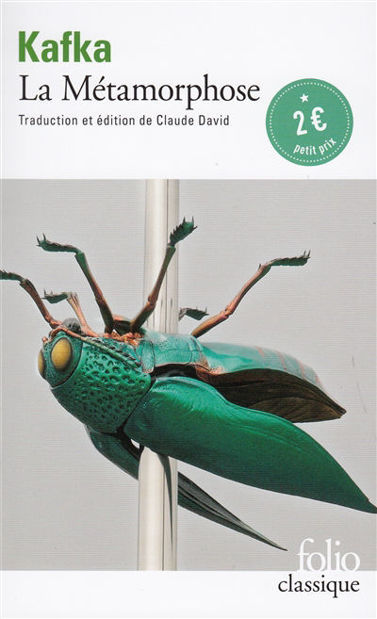 Image de La métamorphose