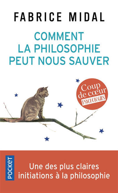 Image de Comment la philosophie peut nous sauver : 22 méditations décisives