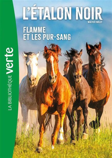 Image de L'étalon noir. Vol. 11. Flamme et les pur-sang