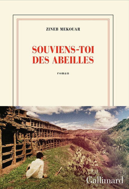 Image de Souviens-toi des abeilles