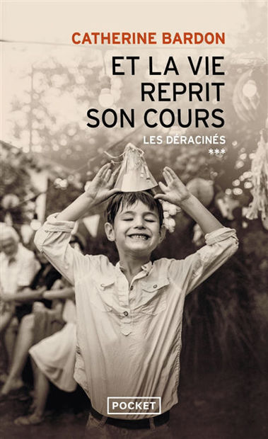 Image de Et la vie reprit son cours : 1967-1979